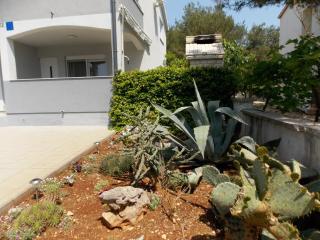 Apartment Vir - Vir - 3