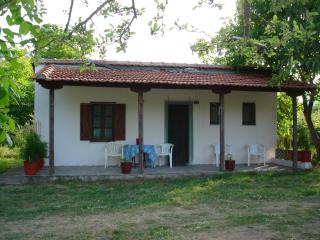 Villa Mina - Potistika - 3