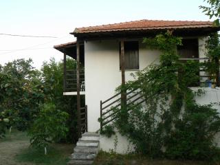 Villa Mina - Potistika - 1