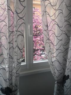 Pietro's house - Rome - 3