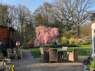 West View Lodge - Basingstoke - 7