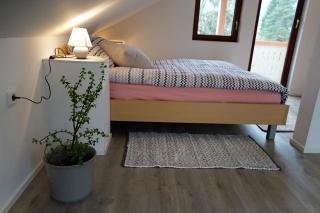 Apartma Eržen - Zgornje Gorje - 1
