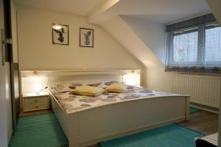 Apartma Eržen - Zgornje Gorje - 3