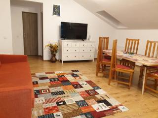 Lenz Apartment Predeal - Predeal - 8
