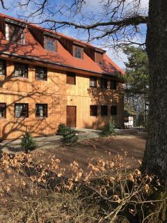 Logis Du Haut-Koenigsbourg - Thannenkirch - 9