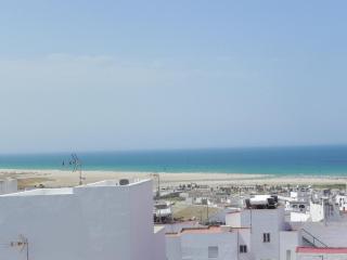 Apt. Acuarel - Conil de la Frontera - 8
