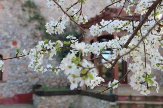 Santa Caterina - dog friendly with garden - Sobrestany - 1