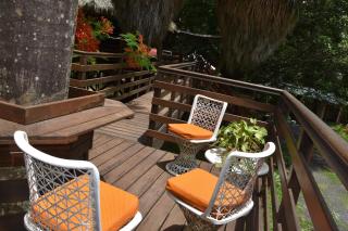 Gite du Manial "Cabane du sentier des étoiles" - Pointe-Noire - 4