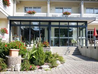Hotel Lenauhof - Bad Birnbach - 9