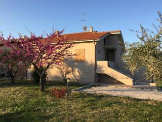 Villetta le Rose - Tavullia - 3