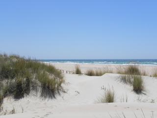 Apt. Acuarel - Conil de la Frontera - 1