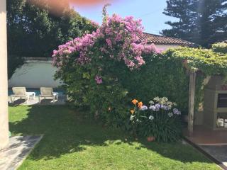 Villa Black Bnb - Mar del Plata - 9