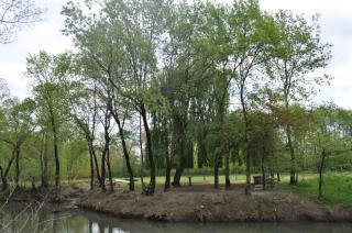 Forest Home - Golubovci - 1