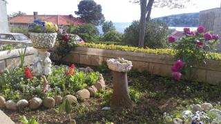 Apartments and rooms by the sea Sumartin, Brac - 13285 - Sumartin - 2