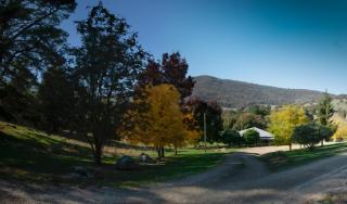 Pound Creek Gallery - 1