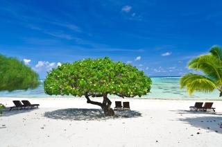 Etu Moana Boutique Beach Villas - Adults Only - Arutanga - 8