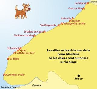LE MADISON, Gîte Atypique - NETFLIX - Dieppe - 1