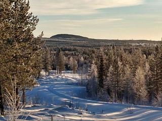 Aha Lodge - Sorsele - 9