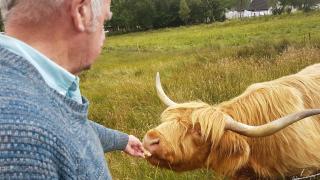 Hawthorn Lodge - Fort William - 8