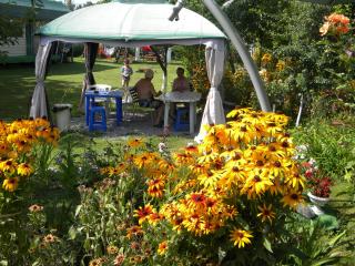 Camping Casuta Mihaela - 3