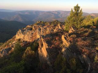 The Nut House - La Garde-Freinet - 8