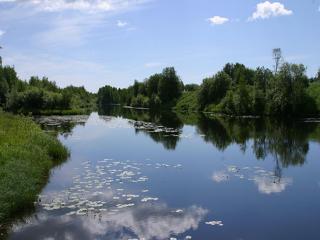 Sangis Motell och Camping - Sangis - 3