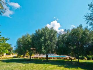 Finca Victoria - Alcudia - 6
