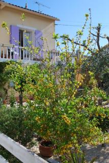 le pitchounet - Arles - 9