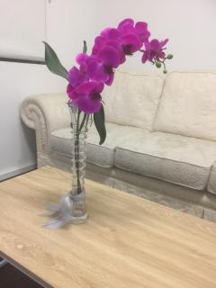 The Happy Delightful Place - Entire 2 Room Apartment - 3