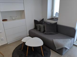 AP10 - Apartments 4U Březinova "Overnight Simply" - Hradec Králové - 1