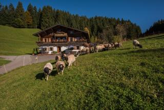 Bauernhof Mühltalhof - Ellmau - 9