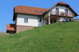 Vdovič Guest House - Svečina - 0