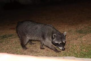 Casa para vacacionar Family - 3