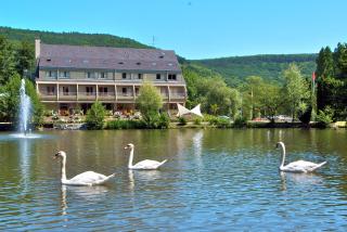 Hotel Du Lac - Guebwiller - 0