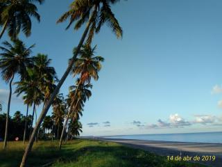 Flat Japaratinga Beach - Japaratinga - 7