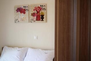 Amaryllis - 2