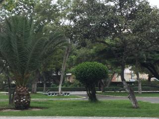 Apartamento Rinconcito de Luz - 0