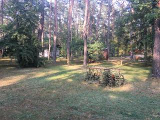 Dworek w lesie - nowy obiekt - Wilga - 1