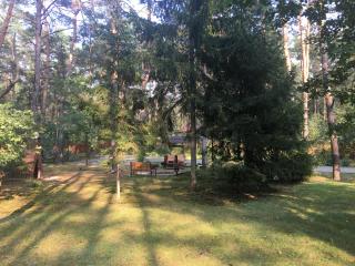 Dworek w lesie - nowy obiekt - Wilga - 2