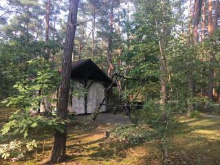 Dworek w lesie - nowy obiekt - Wilga - 4