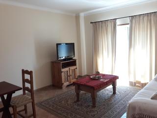 AMM Albufeira Nice Hollydays apartment - Albufeira - 1