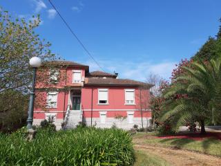 Casa Da Espinhosa - Guimarães - 2