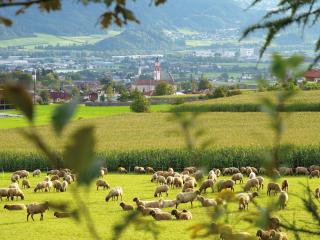 Landgasthof Bogner by myQuartier - Absam - 2