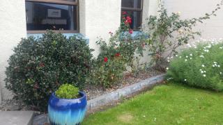 Foveaux Hotel - Bluff - 1