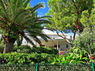 Apartment Amiela by Interhome - Trogir - 5