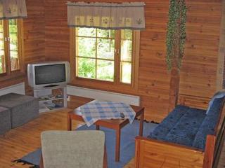 Holiday Home Mustikka by Interhome - Röylä - 2
