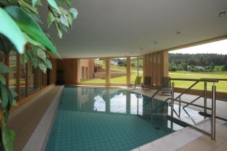 Natur & Wellnesshotel Breggers Schwanen - Bernau im Schwarzwald - Bernau im Schwarzwald - 7