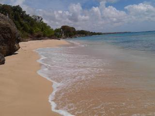 Sea Symphony Villa - Saint Lucy - 4