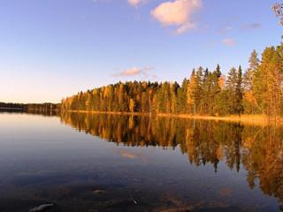 Holiday Home Eteläranta by Interhome - Armisvesi - 7