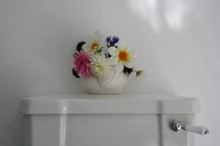 Laurella Cottage - Blenheim - 1
